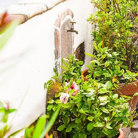 Country house Chamorga - - - Santa Cruz de Tenerife