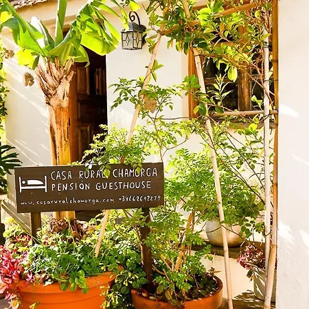 Country house Chamorga - - - Santa Cruz de Tenerife