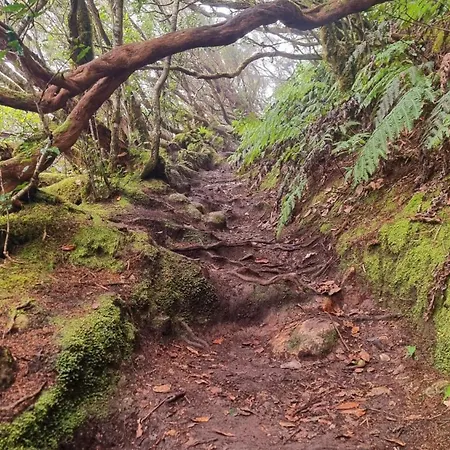 Islanaga Tenerife