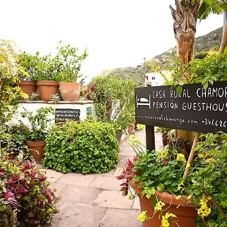 Islanaga Tenerife *