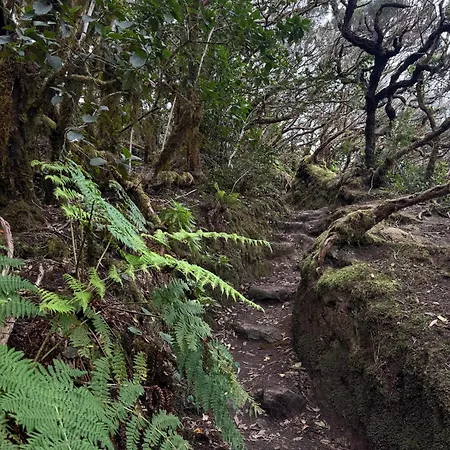 Islanaga Tenerife *